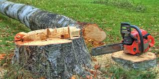 Reliable Valley, AL Tree Removal Solutions