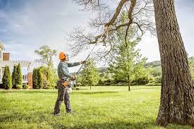 Best Tree Risk Assessment  in Vley, AL