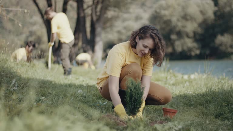Best Tree and Shrub Care  in Vley, AL