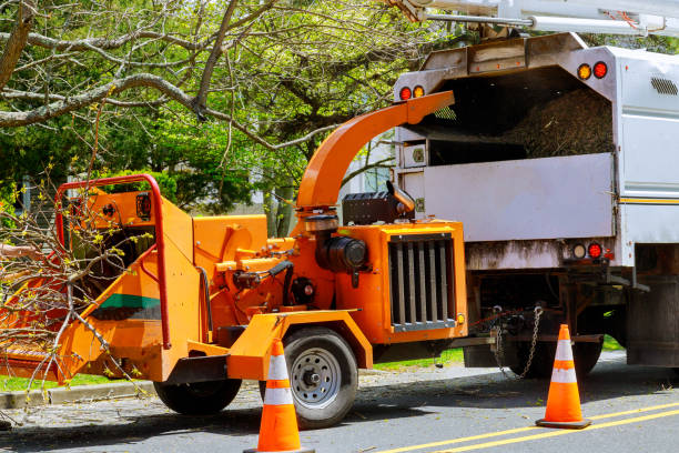 Best Tree Mulching  in Vley, AL